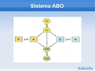 Sistema ABO 