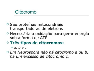Citocromo

   São proteínas mitocondriais
    transportadoras de elétrons
   Necessária a oxidação para gerar energia
    sob a forma de ATP
   Três tipos de citocromos:
       a, b e c
   Em Neurospora não há citocromo a ou b,
    há um excesso de citocromo c.
 