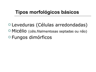 Tipos morfológicos básicos

 Leveduras     (Células arredondadas)
 Micélio (céls.filalmentosas septadas ou não)

 Fungos    dimórficos
 