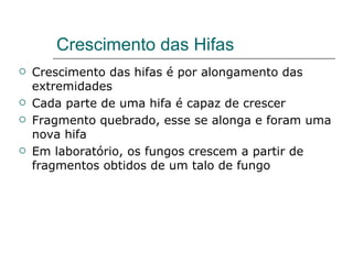 Crescimento das Hifas
   Crescimento das hifas é por alongamento das
    extremidades
   Cada parte de uma hifa é capaz de crescer
   Fragmento quebrado, esse se alonga e foram uma
    nova hifa
   Em laboratório, os fungos crescem a partir de
    fragmentos obtidos de um talo de fungo
 