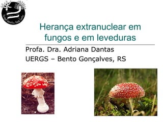 Herança extranuclear em
    fungos e em leveduras
Profa. Dra. Adriana Dantas
UERGS – Bento Gonçalves, RS
 