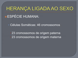  ESPÉCIE   HUMANA:

 • Células Somáticas: 46 cromossomos

   23 cromossomos de origem paterna
   23 cromossomos de origem materna
 