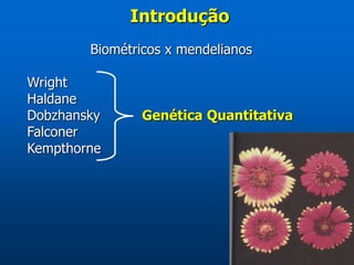 Biométricos x mendelianos
Wright
Haldane
Dobzhansky Genética Quantitativa
Falconer
Kempthorne
Introdução
 