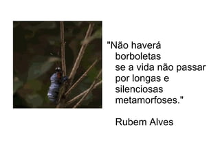 "Não haverá borboletas se a vida não passar por longas e silenciosas metamorfoses." Rubem Alves 
