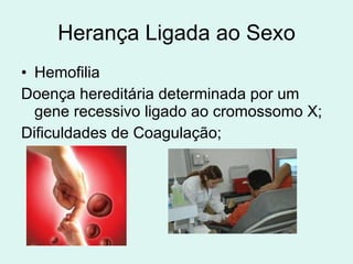 Herança Ligada ao Sexo Hemofilia Doença hereditária determinada por um gene recessivo ligado ao cromossomo X; Dificuldades de Coagulação; 