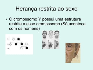 Herança restrita ao sexo O cromossomo Y possui uma estrutura restrita a esse cromossomo (Só acontece com os homens)  