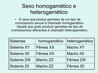 Sexo homogamético e heterogamético O sexo que produz gametas de um tipo de cromossomo sexual é chamado homogamético. Aquele que pode produzir gametas de tipo de cromossomos diferentes é chamado heterogamético. Sistemas homogamético heterogamético Sistema XY Fêmea XX Macho XY Sistema X0 Fêmea XX Macho X0 Sistema ZW Macho ZZ Fêmea ZW Sistema Z0 Macho ZZ Fêmea Z0 