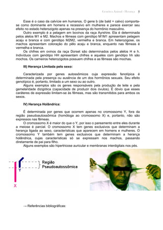 Genética Animal - Herança 5
Esse é o caso da calvície em humanos. O gene b (de bald = calvo) comporta-
se como dominante em homens e recessivo em mulheres e parece exercer seu
efeito no estado heterozigoto apenas na presença do hormônio masculino.
Outro exemplo é a pelagem em bovinos da raça Ayrshire. Ela é determinada
pelos alelos M1 e M2. Machos e fêmeas com genótipo M1M1 apresentam pelagem
acaju e branca e com genótipo M2M2, vermelha e branca. Em heterozigose, os
machos apresentam coloração do pêlo acaju e branca, enquanto nas fêmeas é
vermelha e branca.
Os chifres em ovinos da raça Dorset são determinados pelos alelos H e h.
Indivíduos com genótipo HH apresentam chifres e aqueles com genótipo hh são
mochos. Os carneiros heterozigotos possuem chifres e as fêmeas são mochas.
III) Herança Limitada pelo sexo:
Caracterizada por genes autossômicos cuja expressão fenotípica é
determinada pela presença ou ausência de um dos hormônios sexuais. Seu efeito
genotípico é, portanto, limitado a um sexo ou ao outro.
Alguns exemplos são os genes responsáveis pela produção de leite e pela
gemelaridade dizigótica (capacidade de produzir dois óvulos). É óbvio que esses
caráteres de expressão limitam-se às fêmeas, mas são transmitidos para ambos os
sexos.
IV) Herança Holândrica:
É determinada por genes que ocorrem apenas no cromossomo Y, fora da
região pseudoautossômica (homóloga ao cromossomo X) e, portanto, não são
expressos nas fêmeas.
O cromossomo X é maior do que o Y, por isso o pareamento entre eles durante
a meiose é parcial. O cromossomo X tem genes exclusivos que determinam a
herança ligada ao sexo, características que aparecem em homens e mulheres. O
cromossomo Y também tem genes exclusivos que determinam a herança
holândrica, cujas características só se expressam nos machos, passando
diretamente de pai para filho.
Alguns exemplos são hipertricose auricular e membranas interdigitais nos pés.
→ Referências bibliográficas:
 