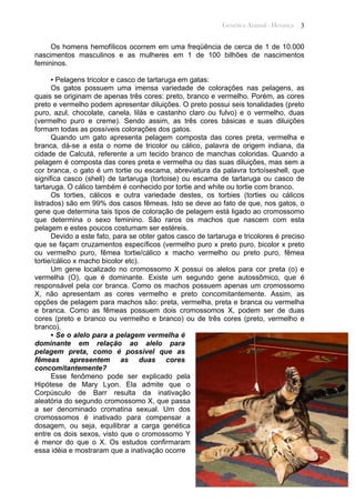 Genética Animal - Herança 3
Os homens hemofílicos ocorrem em uma freqüência de cerca de 1 de 10.000
nascimentos masculinos e as mulheres em 1 de 100 bilhões de nascimentos
femininos.
▪ Pelagens tricolor e casco de tartaruga em gatas:
Os gatos possuem uma imensa variedade de colorações nas pelagens, as
quais se originam de apenas três cores: preto, branco e vermelho. Porém, as cores
preto e vermelho podem apresentar diluições. O preto possui seis tonalidades (preto
puro, azul, chocolate, canela, lilás e castanho claro ou fulvo) e o vermelho, duas
(vermelho puro e creme). Sendo assim, as três cores básicas e suas diluições
formam todas as possíveis colorações dos gatos.
Quando um gato apresenta pelagem composta das cores preta, vermelha e
branca, dá-se a esta o nome de tricolor ou cálico, palavra de origem indiana, da
cidade de Calcutá, referente a um tecido branco de manchas coloridas. Quando a
pelagem é composta das cores preta e vermelha ou das suas diluições, mas sem a
cor branca, o gato é um tortie ou escama, abreviatura da palavra tortoíseshell, que
significa casco (shell) de tartaruga (tortoise) ou escama de tartaruga ou casco de
tartaruga. O cálico também é conhecido por tortie and white ou tortie com branco.
Os torties, cálicos e outra variedade destes, os torbies (torties ou cálicos
listrados) são em 99% dos casos fêmeas. Isto se deve ao fato de que, nos gatos, o
gene que determina tais tipos de coloração de pelagem está ligado ao cromossomo
que determina o sexo feminino. São raros os machos que nascem com esta
pelagem e estes poucos costumam ser estéreis.
Devido a este fato, para se obter gatos casco de tartaruga e tricolores é preciso
que se façam cruzamentos específicos (vermelho puro x preto puro, bicolor x preto
ou vermelho puro, fêmea tortie/cálico x macho vermelho ou preto puro, fêmea
tortie/cálico x macho bicolor etc).
Um gene localizado no cromossomo X possui os alelos para cor preta (o) e
vermelha (O), que é dominante. Existe um segundo gene autossômico, que é
responsável pela cor branca. Como os machos possuem apenas um cromossomo
X, não apresentam as cores vermelho e preto concomitantemente. Assim, as
opções de pelagem para machos são: preta, vermelha, preta e branca ou vermelha
e branca. Como as fêmeas possuem dois cromossomos X, podem ser de duas
cores (preto e branco ou vermelho e branco) ou de três cores (preto, vermelho e
branco).
▪ Se o alelo para a pelagem vermelha é
dominante em relação ao alelo para
pelagem preta, como é possível que as
fêmeas apresentem as duas cores
concomitantemente?
Esse fenômeno pode ser explicado pela
Hipótese de Mary Lyon. Ela admite que o
Corpúsculo de Barr resulta da inativação
aleatória do segundo cromossomo X, que passa
a ser denominado cromatina sexual. Um dos
cromossomos é inativado para compensar a
dosagem, ou seja, equilibrar a carga genética
entre os dois sexos, visto que o cromossomo Y
é menor do que o X. Os estudos confirmaram
essa idéia e mostraram que a inativação ocorre
 