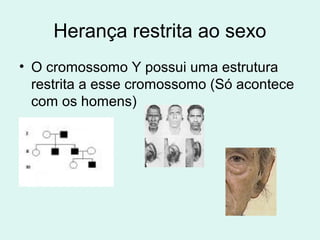 Melhor boquete nacional Melhores cenas de sexo de séries