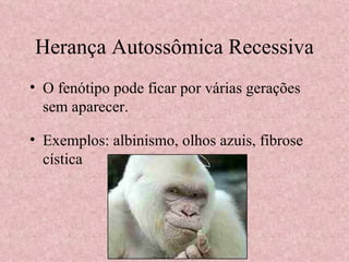 O fenótipo pode ficar por várias gerações sem aparecer. Exemplos: albinismo, olhos azuis, fibrose cística Herança Autossômica Recessiva 