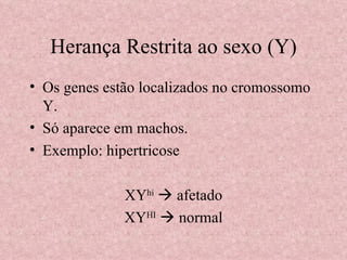 Herança Restrita ao sexo (Y) Os genes estão localizados no cromossomo Y. Só aparece em machos. Exemplo: hipertricose XY hi     afetado XY HI     normal 