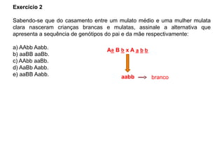 Exercício 2
Sabendo-se que do casamento entre um mulato médio e uma mulher mulata
clara nasceram crianças brancas e mulatas, assinale a alternativa que
apresenta a sequência de genótipos do pai e da mãe respectivamente:
a) AAbb Aabb.
b) aaBB aaBb.
c) AAbb aaBb.
d) AaBb Aabb.
e) aaBB Aabb.
A_ B _ x A _ _ _
aabb branco
a ab b b
 