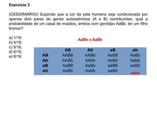 Exercício 3
(CESGRANRIO) Supondo que a cor da pele humana seja condicionada por
apenas dois pares de genes autossômicos (A e B) contribuintes, qual a
probabilidade de um casal de mulatos, ambos com genótipo AaBb, ter um filho
branco?
a) 1/16.
b) 4/16.
c) 5/16.
d) 6/16.
e) 8/16.
AB Ab aB ab
AB AABB AABb AaBB AaBb
Ab AABb AAbb AaBb Aabb
aB AaBB AaBb aaBB aaBb
ab AaBb Aabb aaBb
AaBb x AaBb
aabb
 
