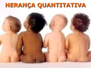 HERANÇA QUANTITATIVAHERANÇA QUANTITATIVA
 