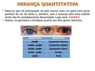 Sabe-se que há participação de pelo menos mais um gene para gerar
padrões de cor de olhos e, também, que a herança para esse padrão
ainda não foi completamente desvendado. Logo será: 1:4:6:4:1
 Abaixo, os genótipos e fenótipos quanto aos dois genes descritos:
GENÓTIPO FENÓTIPO
AABB Castanho Escuro
AABb, AaBB Castanho Médio
AAbb, AaBb Castanho Claro
Aabb, aaBb Verde
aabb Azul
HERANÇA QUANTITATIVAHERANÇA QUANTITATIVA
 