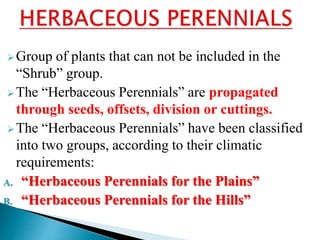 Herbaceous Perennial Meaning Herbaceous Perennials,, 45% OFF