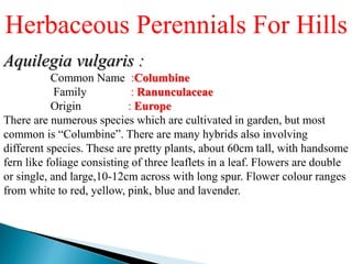 Herbaceous Perennial Meaning Herbaceous Perennials,, 45% OFF