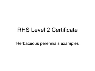 RHS Level 2 Certificate
Herbaceous perennials examples
 