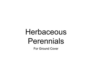 Herbaceous
Perennials
For Ground Cover
 
