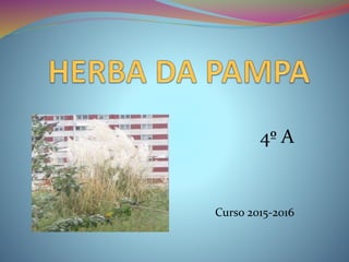 4º A
Curso 2015-2016
 