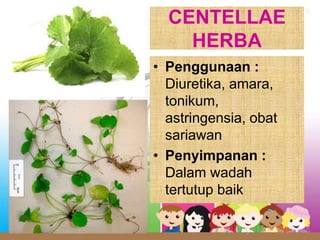 CENTELLAE
HERBA
• Penggunaan :
Diuretika, amara,
tonikum,
astringensia, obat
sariawan
• Penyimpanan :
Dalam wadah
tertutup baik
 