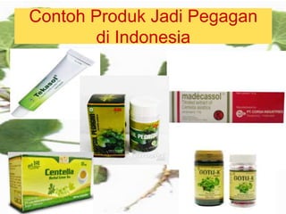 Contoh Produk Jadi Pegagan
di Indonesia
 