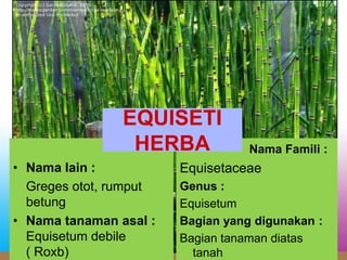 • Nama lain :
Greges otot, rumput
betung
• Nama tanaman asal :
Equisetum debile
( Roxb)
Nama Famili :
Equisetaceae
Genus :
Equisetum
Bagian yang digunakan :
Bagian tanaman diatas
tanah
EQUISETI
HERBA
 