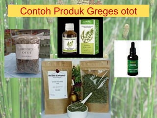 Contoh Produk Greges otot
 