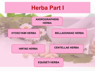 Herba Part I
ANDROGRAPHIDIS
HERBA
BELLADONNAE HERBA
CENTELLAE HERBA
EQUISETI HERBA
HIRTAE HERBA
HYOSCYAMI HERBA
 