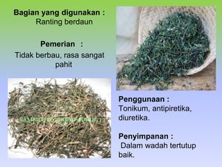 Penggunaan :
Tonikum, antipiretika,
diuretika.
Penyimpanan :
Dalam wadah tertutup
baik.
Bagian yang digunakan :
Ranting berdaun
Pemerian :
Tidak berbau, rasa sangat
pahit
 