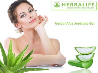 Herbal Aloe Soothing Gel
 