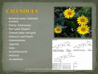 Herbal antiviral agents | PPTX