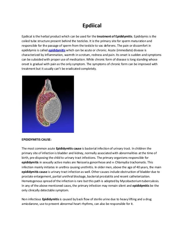 Epididymitis Treatment, Symptoms, Causes, Remedy