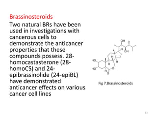 Herbal constituents effective against cancer | PPTX