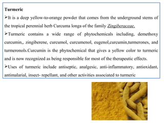 Turmeric
It is a deep yellow-to-orange powder that comes from the underground stems of
the tropical perennial herb Curcuma longa of the family Zingiberaceae.
Turmeric contains a wide range of phytochemicals including, demethoxy
curcumin,, zingiberene, curcumol, curcumenol, eugenol,curcumin,turmerones, and
turmeronols.Curcumin is the phytochemical that gives a yellow color to turmeric
and is now recognized as being responsible for most of the therapeutic effects.
Uses of turmeric include antiseptic, analgesic, anti-inflammatory, antioxidant,
antimalarial, insect- repellant, and other activities associated to turmeric
 