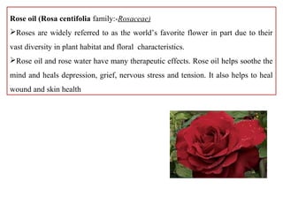 Rose oil (Rosa centifolia family:-Rosaceae)
Roses are widely referred to as the world’s favorite flower in part due to their
vast diversity in plant habitat and floral characteristics.
Rose oil and rose water have many therapeutic effects. Rose oil helps soothe the
mind and heals depression, grief, nervous stress and tension. It also helps to heal
wound and skin health
 