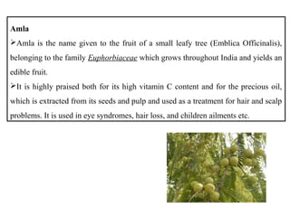 Amla
Amla is the name given to the fruit of a small leafy tree (Emblica Officinalis),
belonging to the family Euphorbiaceae which grows throughout India and yields an
edible fruit.
It is highly praised both for its high vitamin C content and for the precious oil,
which is extracted from its seeds and pulp and used as a treatment for hair and scalp
problems. It is used in eye syndromes, hair loss, and children ailments etc.
 