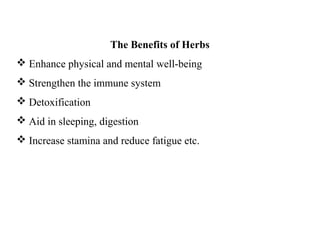 The Benefits of Herbs
 Enhance physical and mental well-being
 Strengthen the immune system
 Detoxification
 Aid in sleeping, digestion
 Increase stamina and reduce fatigue etc.
 