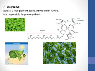 Herbal Cosmetics Herbal Drug Technology B Pharmacy | PDF