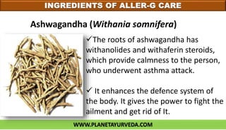 WWW.PLANETAYURVEDA.COM
INGREDIENTS OF ALLER-G CARE
Ashwagandha (Withania somnifera)
The roots of ashwagandha has
withanolides and withaferin steroids,
which provide calmness to the person,
who underwent asthma attack.
 It enhances the defence system of
the body. It gives the power to fight the
ailment and get rid of It.
 