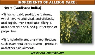 WWW.PLANETAYURVEDA.COM
INGREDIENTS OF ALLER-G CARE :
It has valuable profitable features,
which involve anti-viral, anti-diabetic,
anti-septic, liver detox, anti-allergic,
anti-bacterial and blood purifier type of
properties.
It is helpful in treating many diseases
such as asthma, acne, eczema, psoriasis
and other skin ailments.
Neem (Azadiracta indica)
 