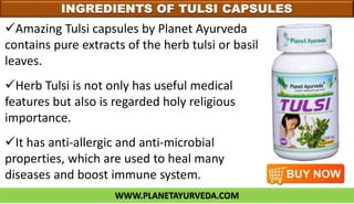 WWW.PLANETAYURVEDA.COM
INGREDIENTS OF TULSI CAPSULES
Amazing Tulsi capsules by Planet Ayurveda
contains pure extracts of the herb tulsi or basil
leaves.
Herb Tulsi is not only has useful medical
features but also is regarded holy religious
importance.
It has anti-allergic and anti-microbial
properties, which are used to heal many
diseases and boost immune system.
 