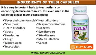 WWW.PLANETAYURVEDA.COM
INGREDIENTS OF TULSI CAPSULES
It is a very important herb to treat asthma by
enhancing defence mechanism. It is even used in the
following illness to get good results:
Fever and common cold
Sore throat
Teeth disorders
Stress
Headaches
Cough
Kidney stone
Insect bites
Heart disorders
Respiratory disorders
Diabetes
Eye disorders
Skin diseases
Mouth infection
Cancer
 