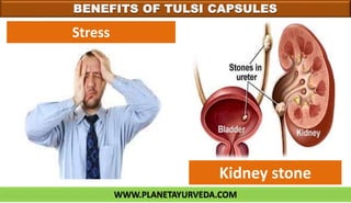 WWW.PLANETAYURVEDA.COM
BENEFITS OF TULSI CAPSULES
Stress
Kidney stone
 