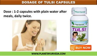 WWW.PLANETAYURVEDA.COM
DOSAGE OF TULSI CAPSULES
Dose : 1-2 capsules with plain water after
meals, daily twice.
 