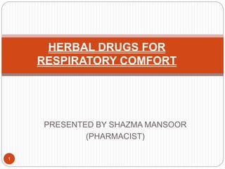 PRESENTED BY SHAZMA MANSOOR
(PHARMACIST)
1
HERBAL DRUGS FOR
RESPIRATORY COMFORT
 