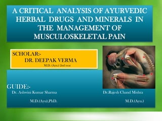 GUIDE:-
Dr. Ashwini Kumar Sharma Dr.Rajesh Chand Mishra
M.D.(Ayu),PhD. M.D.(Ayu.)
A CRITICAL ANALYSIS OF AYURVEDIC
HERBAL DRUGS AND MINERALS IN
THE MANAGEMENT OF
MUSCULOSKELETAL PAIN
SCHOLAR:-
DR. DEEPAK VERMA
M.D. (Ayu.) 2nd year
 