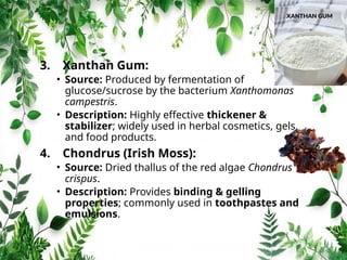 3. Xanthan Gum:
• Source: Produced by fermentation of
glucose/sucrose by the bacterium Xanthomonas
campestris.
• Description: Highly effective thickener &
stabilizer; widely used in herbal cosmetics, gels,
and food products.
4. Chondrus (Irish Moss):
• Source: Dried thallus of the red algae Chondrus
crispus.
• Description: Provides binding & gelling
properties; commonly used in toothpastes and
emulsions.
 