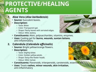 PROTECTIVE/HEALING
AGENTS
1. Aloe Vera (Aloe barbadensis)
• Source: Succulent leaves.
• Description:
o Taste: Bitter.
o Color: Transparent gel.
o Shape: Fleshy leaves with serrated edges.
o Odour: Mild, watery.
• Constituents: Aloin, polysaccharides, vitamins, enzymes.
• Uses: Cooling gel for burns, wounds, suntan lotions,
anti‑inflammatory.
2. Calendula (Calendula officinalis)
• Source: Bright yellow/orange flowers.
• Description:
o Taste: Slightly bitter.
o Color: Golden yellow petals.
o Shape: Daisy‑like flower heads.
o Odour: Mild, herbal.
• Constituents: Flavonoids, triterpenoids, carotenoids, essential oils.
• Uses: Treats rashes, minor wounds, skin irritation,
anti‑inflammatory
 